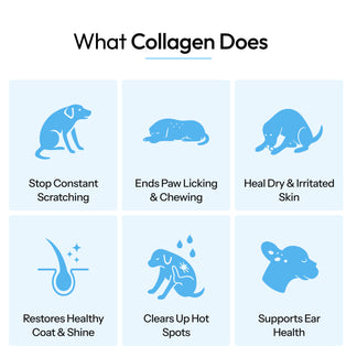 Liquid collagen product photo